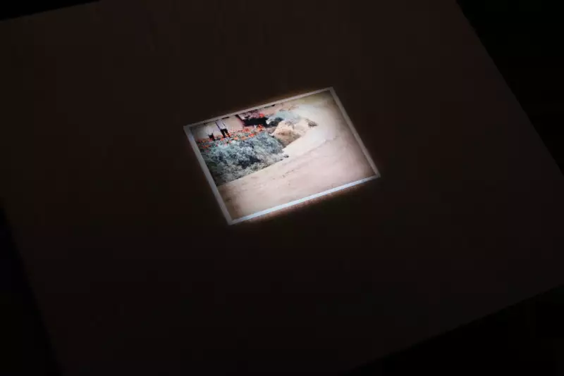 以楊逵的東海花園建立展示台灣文學的美術館:評「花園裡的一塊磚」展覽(下)