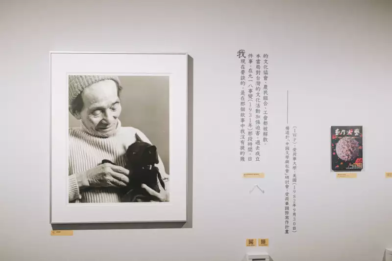 自問「花園裡的一塊磚」如何閃現於心之筆記——惶惶可以正念兼論研究型展覽若干避開次媒介陷阱的絮語（上）