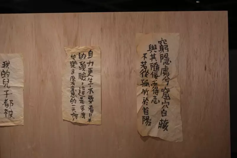 自問「花園裡的一塊磚」如何閃現於心之筆記——惶惶可以正念兼論研究型展覽若干避開次媒介陷阱的絮語（下）