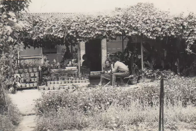 用鐵鍬寫成的詩篇：東海花園與楊逵作為台文主體形成（下）